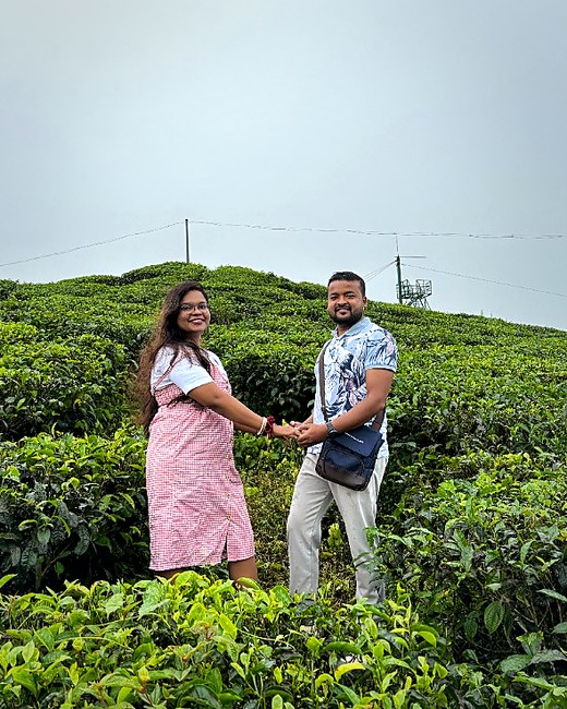 Promoters in a tea plantation